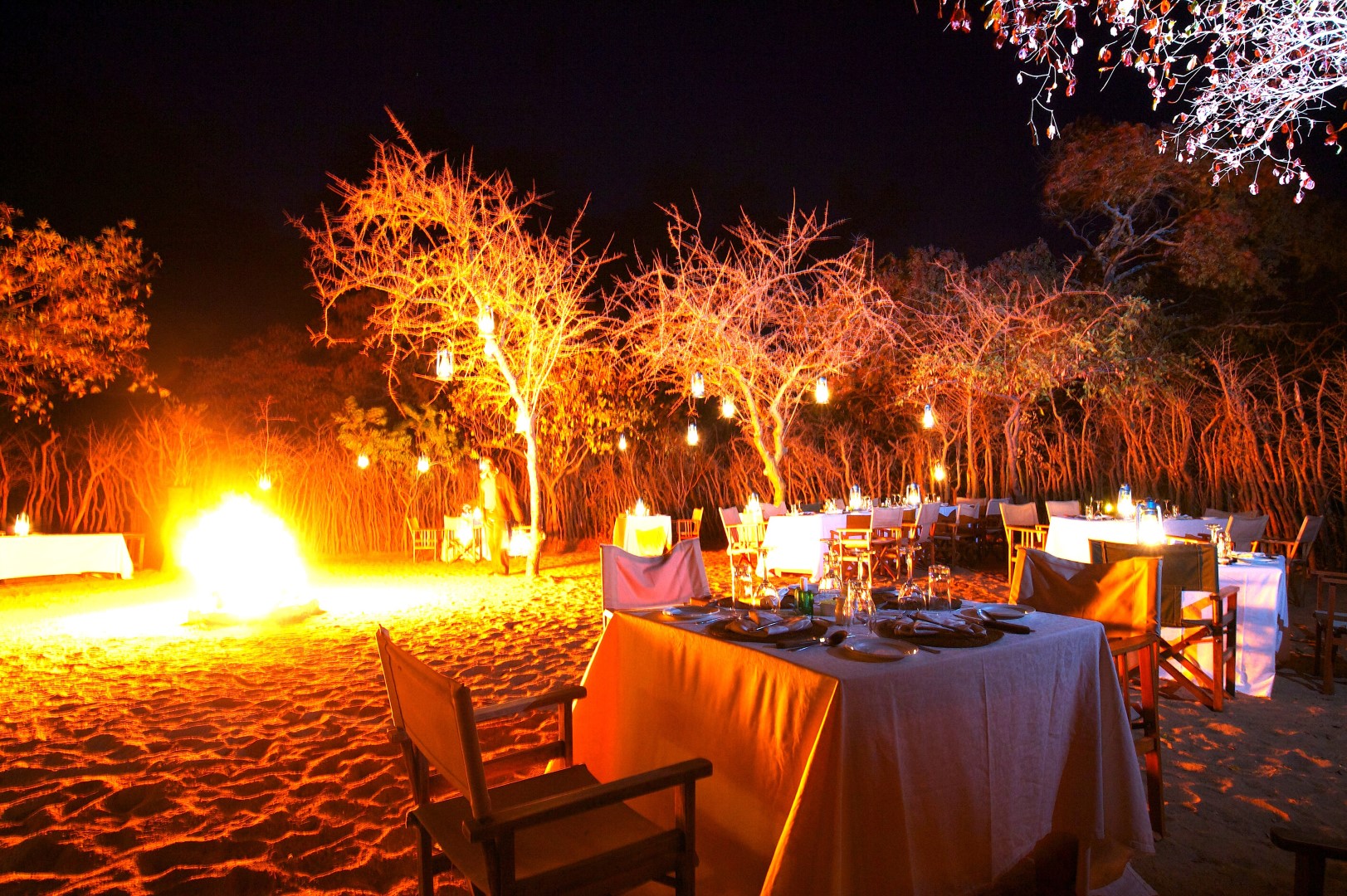 wp-content/uploads/lodging/Tanzania/SkySafari/tarangire-treetops-boma-dinner-1 (Large).jpg
